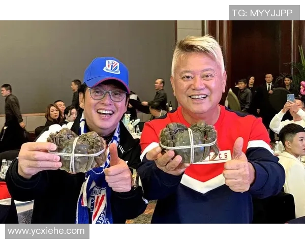 上海极限运动队团队协作模式深度解析与对比研究 上海极限运动队团队协作模式深度解析与对比研究