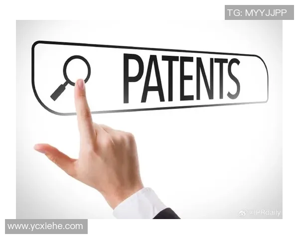 科学飞盘训练方法提升个人能力的全面指南与技巧分享