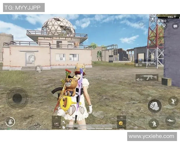 和平精英热议：WE战队实力与争议的深度剖析与反思