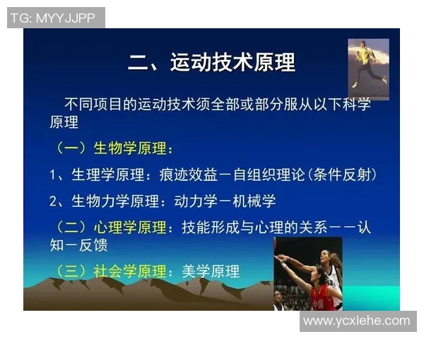 基于科学原理的高效训练方法解析与应用探讨 基于科学原理的高效训练方法解析与应用探讨
