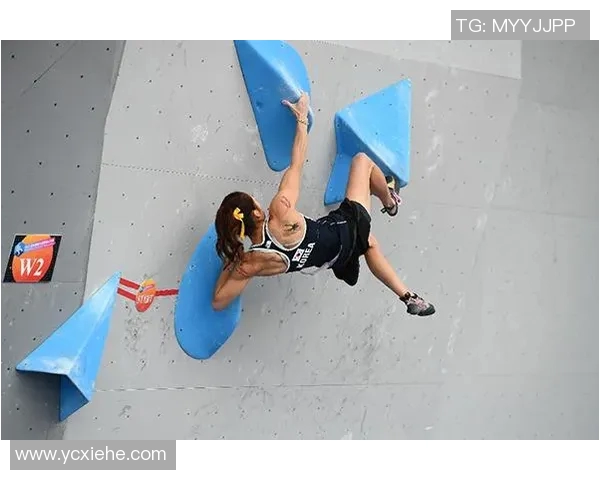 与杨磊畅谈攀岩生涯的挑战与成长之路