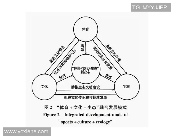 运动文化的传承与创新：探索体育精神对社会发展的深远影响