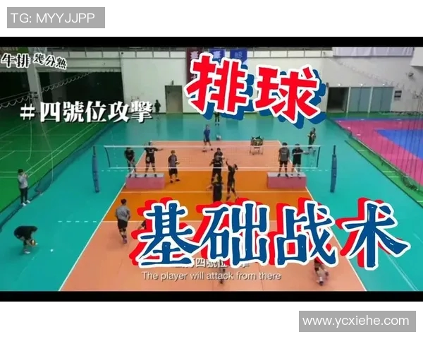 上海排球队中路突破策略分析与战术创新探讨