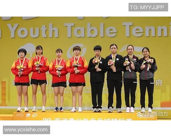北京乒乓球队在挑战赛中的比赛经验与表现分析与点评 北京乒乓球队在挑战赛中的比赛经验与表现分析与点评